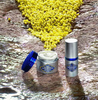 L'OCCITANE