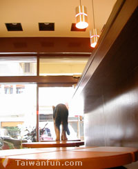 Neko Cafe
