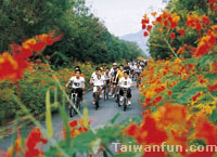 Tasting the free, easy spirit of Taichung