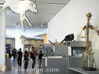 25 years and going strong: The National Museum of Natural Science celebrates a quarter-century of existence 