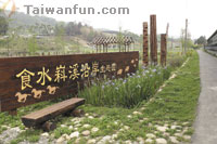 花海蝶舞 山清水明––享受新社鋪天蓋地的浪漫