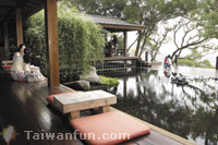花海蝶舞 山清水明––享受新社鋪天蓋地的浪漫
