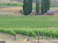 Common wine questions answered