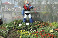 Beauty abounds across Xinshe's dazzling Sea of Flowers