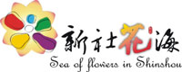 Beauty abounds across Xinshe's dazzling Sea of Flowers 