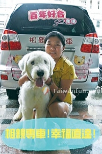 愛上臺中毛小孩