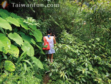 Escaping into nature at Butterfly Falls